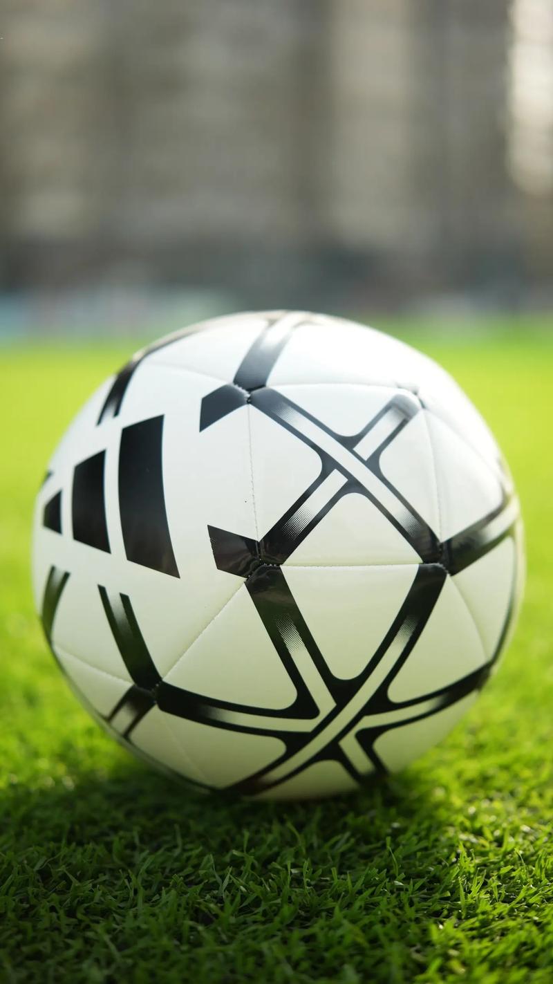 体育赛事爱好者使用场景